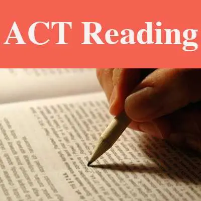 Professor W. K. Morton